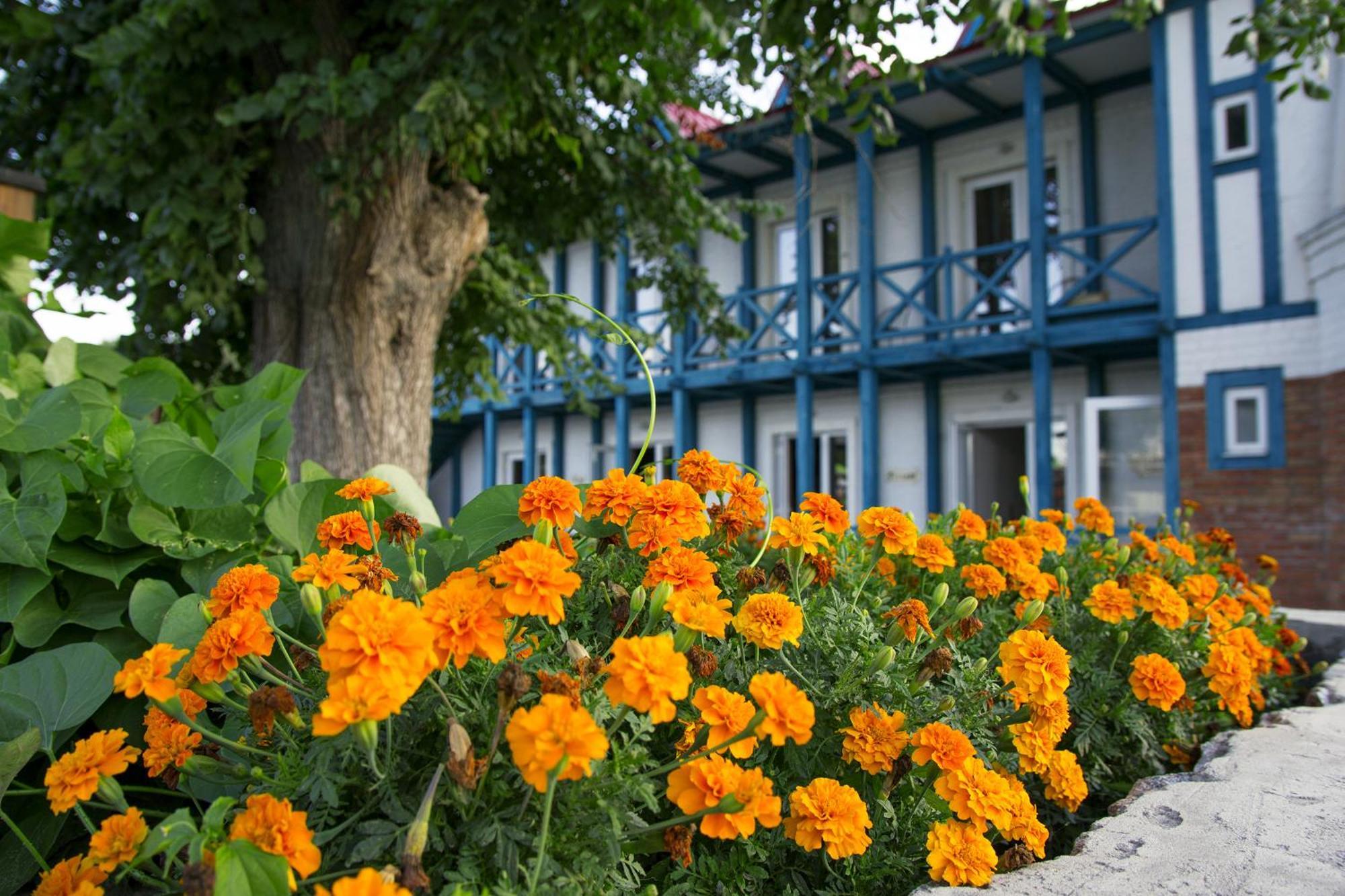 Mayak Resort Kam'yani Potoky Екстериор снимка